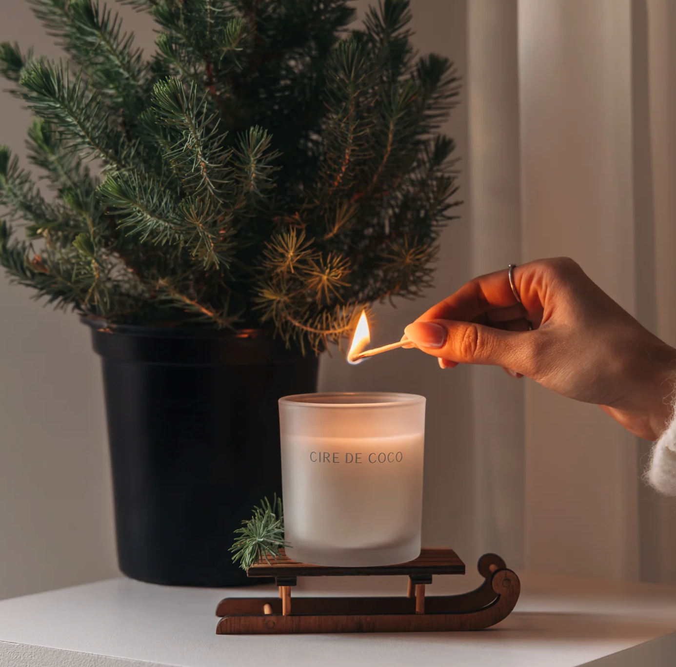 Chandelle Sapin Blanc