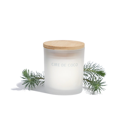 Chandelle Sapin Blanc